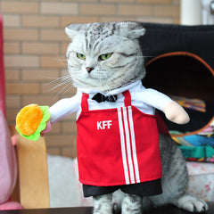 Spring and autumn pet cat costume