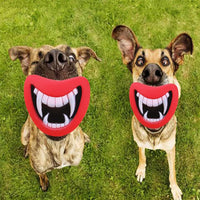 Dogs