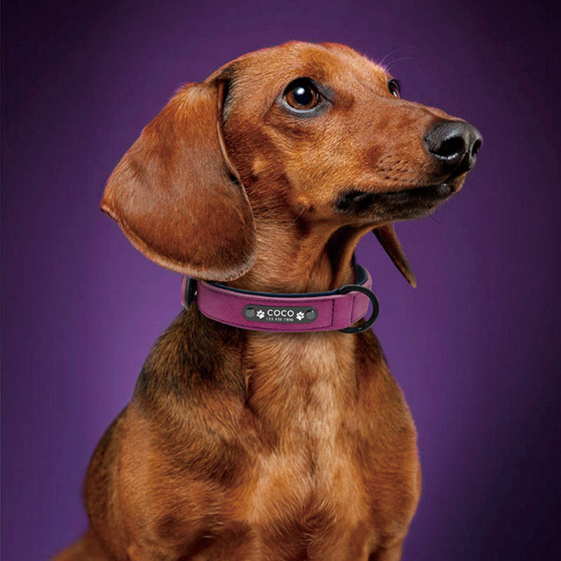 Matte Anti Lost Dog Collar