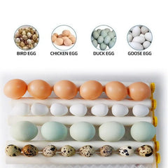 Automatic Incubator Egg Home Brooder Bird Quail Chick Hatchery Incubator Poultry Hatcher Turner Farm Incubation Tools 16 Eggs