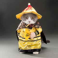 Spring and autumn pet cat costume